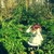 :iconaly-fish: