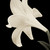 :iconalyagallery:
