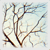 :iconalyinwonderland: