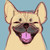:iconalymarcas:
