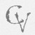 :iconalynaris-stocks:
