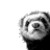 :iconalyseum: