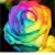 :iconalyssa93: