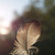 :iconalyssabrooke1: