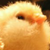 :iconalyssawiggen: