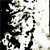 :iconalytic: