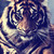 AlyUniverse :iconalyuniverse: