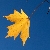 :iconalyven: