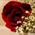 :iconalzainabyah: