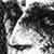 :iconalzeth: