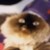 Am-Draws :iconam-draws: