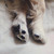 :iconam-factory: