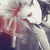 :iconamai-ari: