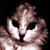 :iconamai911-stock: