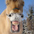 :iconamaliya93: