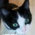 :iconamamizu-o3o: