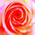 :iconamanda-dembik:
