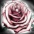 :iconamanda-psyche: