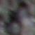 :iconamanda-rae: