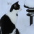 :iconamanda098980: