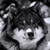 :iconamanda143442: