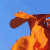 :iconamandabrand: