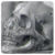 :iconamandas-art: