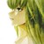 :iconamane-taichou: