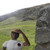 :iconamanfromcoalville: