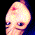 :iconamaranthia: