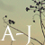 :iconamaranthine-june: