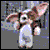 :iconamarisgrey:
