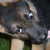 :iconamarok01: