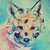 :iconamarowolf:
