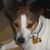 :iconamartus704: