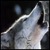 :iconamaterasu-sun-god: