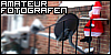 :iconamateur-fotografen: