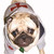 :iconamateurstargazer: