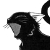:iconamatorculus:
