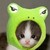 :iconamaunethidden: