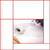 :iconamaya-paranoidal: