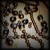 :iconamazedasphaltum: