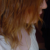 :iconamazedautumn: