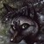 :iconamazing-mr-x: