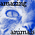 :iconamazinganimals: