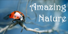 AmazingNatureFantasy :iconamazingnaturefantasy: