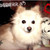 :iconambberrxd: