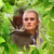 :iconamber-lotr-freak: