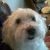 :iconamber-may: