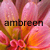 :iconamber0105:
